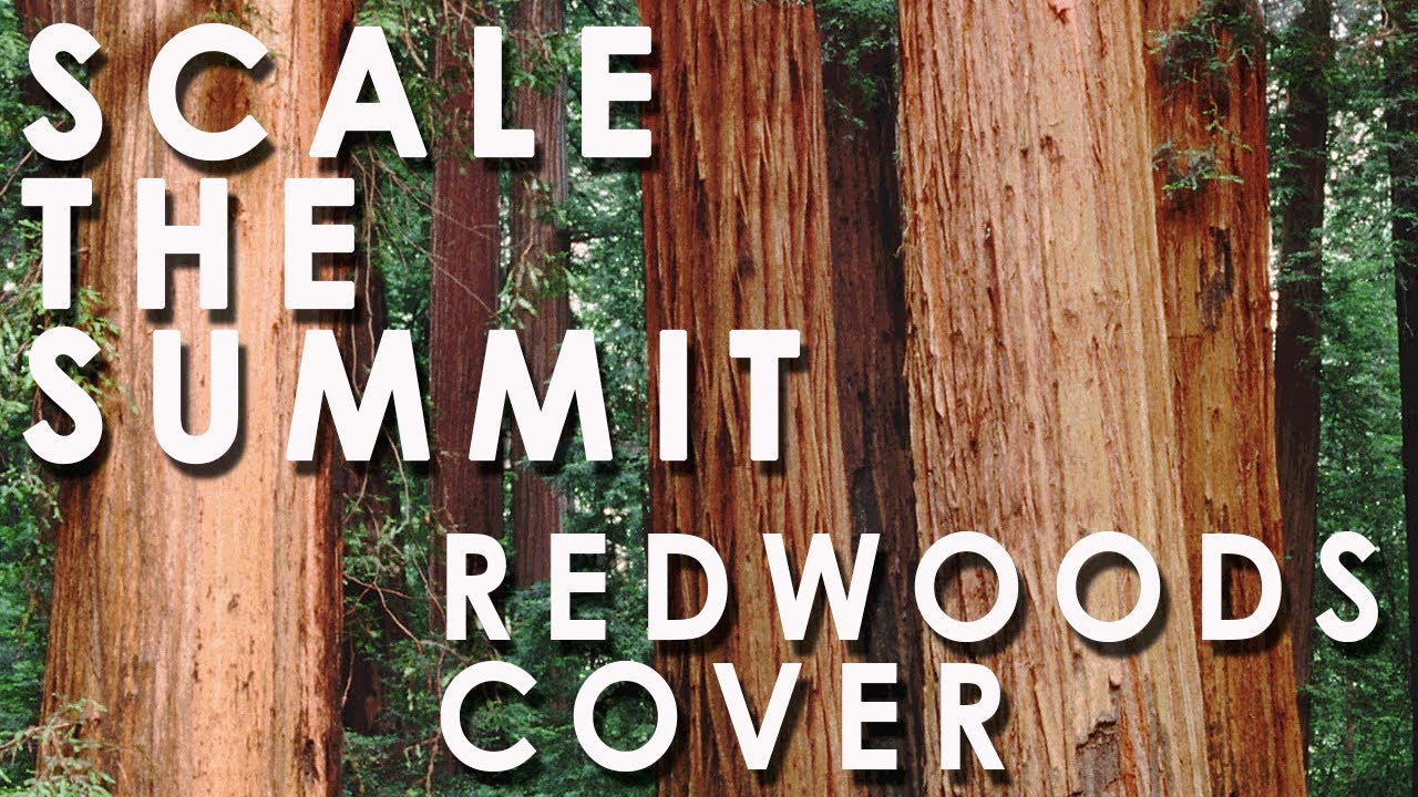 Ver "Scale The Summit" ~ Redwoods Guitar Cover HD no YouTube