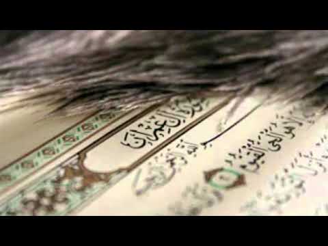 سورة ال عمران بصوت القارئ الشيخ أحمد العجمي