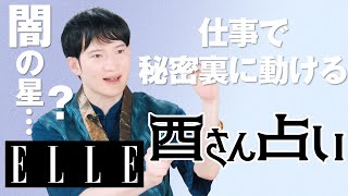 【最新版！6月仕事運】頑張りは報われる？異動や転職にはいい時期？暮れの酉が鳳凰数術で占う｜心のリトリート“酉さん占い“｜ ELLE Japan