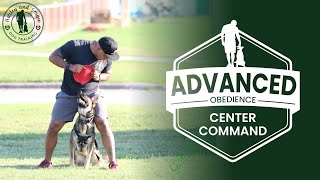 Advanced Obedience:  Center Command