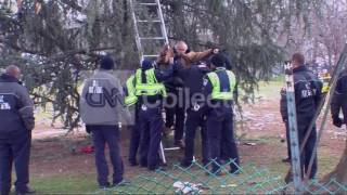INAUGURATION- ANTI- ABORTION PROTESTER IN TREE