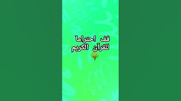 قف قليلا احترام القرآن الكريم #explore #راحة_نفسية #قران_كريم #quran #قرآن #القرآن_الكريم