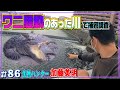 ワニが目撃された川には今ナニがいる？福岡の市街地を流れる川で捕獲調査した結果…第一話≫生物ハンター加藤英明