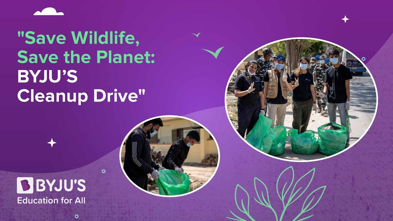 What Is Observed As World Wildlife Day What Is Observed As World Wildlife Day