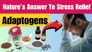 The Rise of Adaptogens Natural Stress Relievers | Harness the Power of Adaptogens Stress-Free Living