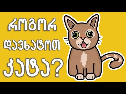 ვიდეო: როგორ ვისწავლოთ კატების დახატვა