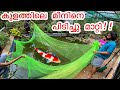 എന്തിനാ കുളത്തിലെ മീനിനെ മാറ്റിയെ ?? | Why I Caught All The Fishes In The pond?? | Danger