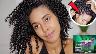 The New Mane Choice 4 Clover Collection Review & Demo Removing 3 Month Of Build Up