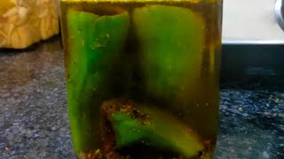 Stuffed Green Chilli Pickle