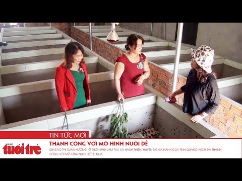 Video Thành công với mô hình nuôi dế - youtube