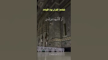 شفاعة القرآن يوم القيامة #آيات #اكسبلور #المصحف #القرآن_الكريم #الرحمن #شروحات