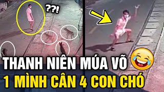 Bị Tập Kích Trong Đêm Chàng Trai Đi Đường Quyền Cân 4 Chú Chó Khiến Dân Mạng Cười Bò Tin 3 Phút