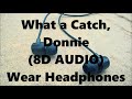 Fall Out Boy - What a Catch, Donnie (8D AUDIO)