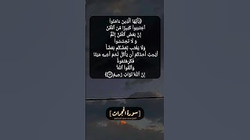 سورة الحجرات الآية ١٢ بصوت الشيخ محمد صديق المنشاوي