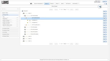 LDMS (web) Storage module: Organization of the storage tree