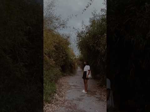 اثر الفراشة بو كلثوم