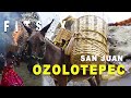 Video de San Juan Ozolotepec