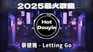 全中文DJ舞曲夜店混音舞曲串烧 2025🎧中文舞曲中国最好的歌曲 舞曲串烧🎶蔡健雅 - Letting Go/ 海来阿木 - 你的万水千山/青丝 (DJ Wave版)👍Douyin Dj抖音版2025