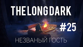 ЗАБЛУДИЛАСЬ В МЕТЕЛЬ | The Long Dark | НЕЗВАНЫЙ ГОСТЬ 1.0 | #25