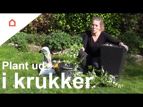 Plant ud i krukker med succes youtube Planter i krukker og potter
