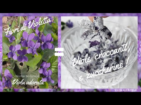 Video: Come Fare I Fiori Canditi