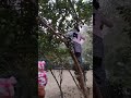 Spider 🕷️ women 🙀#viralshorts #ytshorts @anuruchivlogs