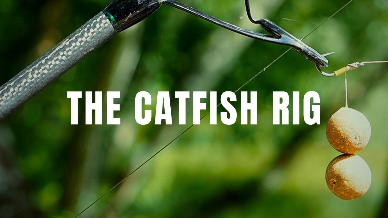 How to tie the best catfish rig for lakes