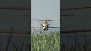 Crop Duster flying low #shorts