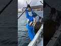 海上懸垂チャレンジ！