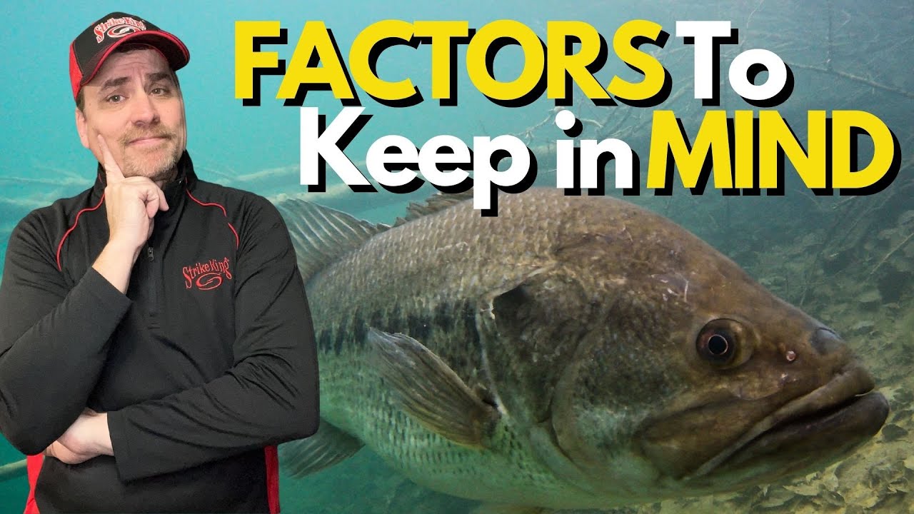 The Art of Mastering Depth When Bass Fishing - YouTube