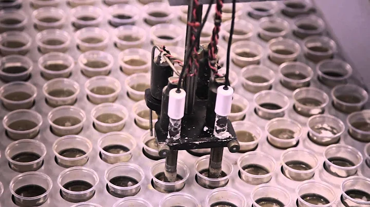 How Soil Tests are Analyzed