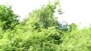 transilvania trophy 2009 adventure 208