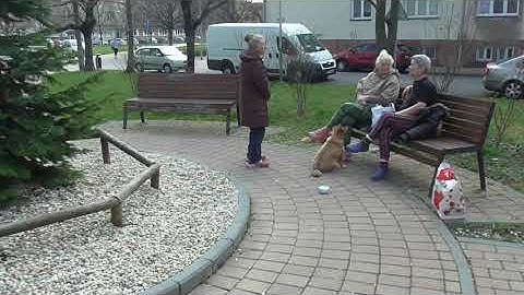 Noise Research 2 (Deduction)