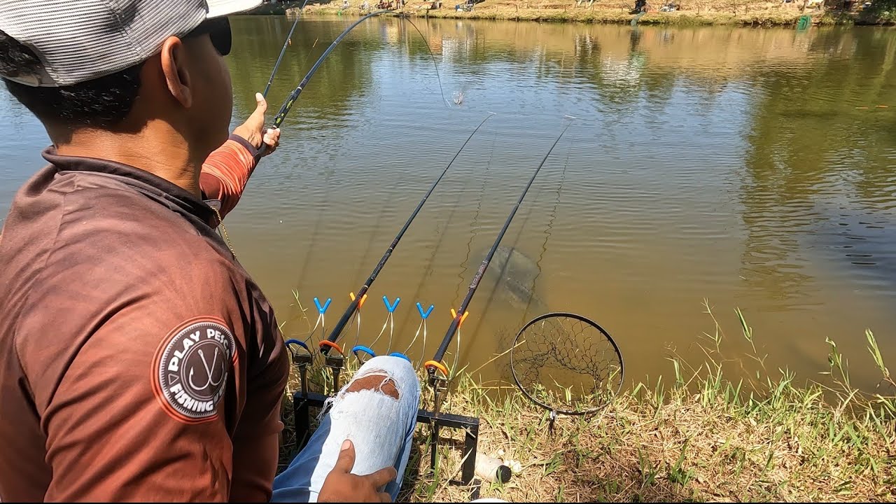 FOI COVARDIA O QUE ACONTECEU !! CARDUME DE TILÁPIA ENCOSTO E EU NÃO PERDOEI - part 2 