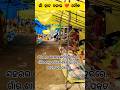ଗାଁ ହାଟ || village life || #shortvideos #villagelife #sambalpurisong #travelvlog #@BadalBehera3