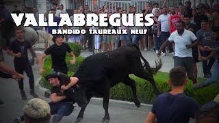VALLABREGUES Bandido Taureaux Neuf 19-06-2023 🐮