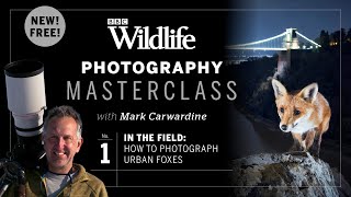 Episode One. In The Field: How To Photograph Urban Foxes | Photography Masterclass
