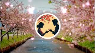 Petals in Your Hands - Snooze