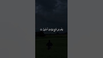 ارح سمعك بصوت القارئ عبدالرحمن مسعد تلاوة جميلة من سورة النمل 😍