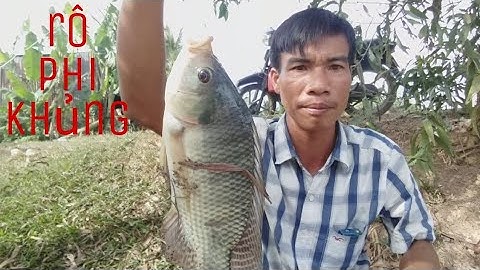 Câu cá sông điểm câu mới phát hiện ổ cá tra lớn nó lên ục giật cả mình luôn | câu cá miền Tây TV