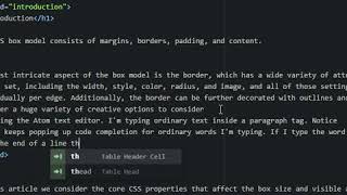 Atom Text Editor