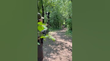 Can You Judge Distance Without a Range Finder?