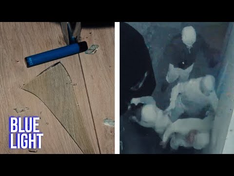 UK Criminal Gang Taken Down Following Violent Home Invasion | FULL EPISODE | Blue Light documentary thumbnail