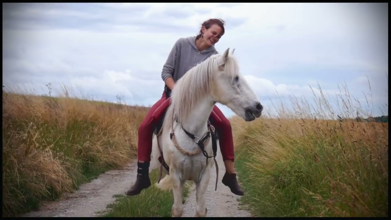 Being with horses forever -Impressions