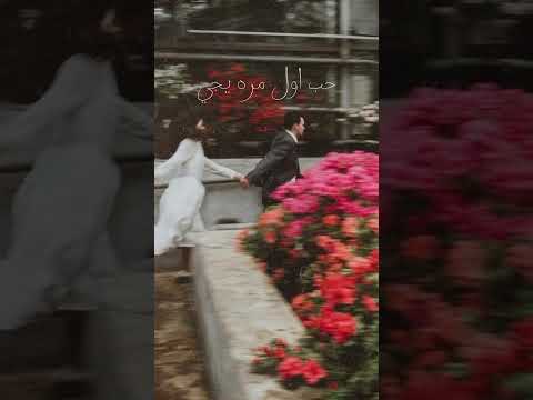 كوبليه انت اول كل حاجة عمرو دياب