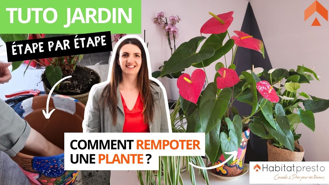 Le Jardin de Jade - Le printemps est le moment idéal pour rempoter vos  plantes d'intérieur 🌸 Voici le matériel dont vous aurez besoin : - Un pot  en terre cuite ou