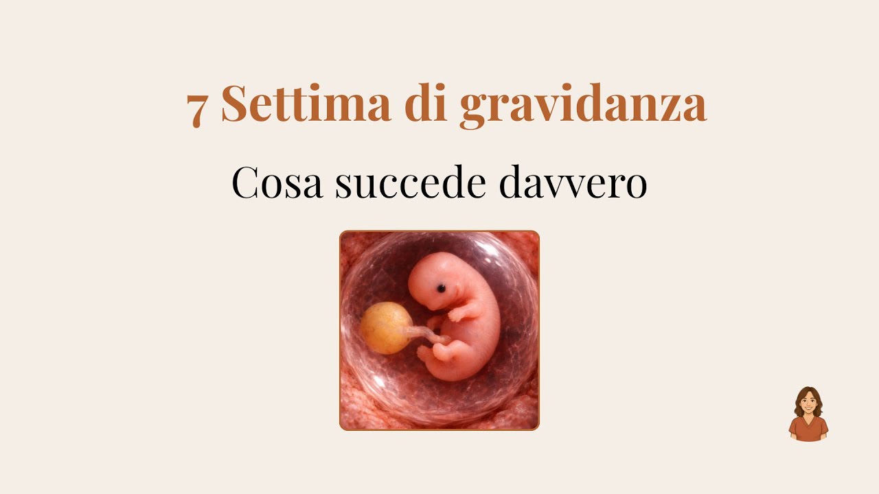 7ª settimana di gravidanza: battito del cuore, sintomi, ecografia e lavoro | Podcast Mammamather