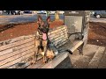German Shepherd Buttercup best dog training Portland | Salem | Eugene | Bend German Shepherd Buttercup best dog training Portland | Salem | Eugene | Bend