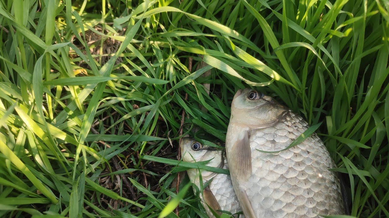 Bugun 9-mart bugungi ovda karas ovliymiz