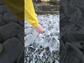 アメリカでセメント袋を使って歩道を作る理由
